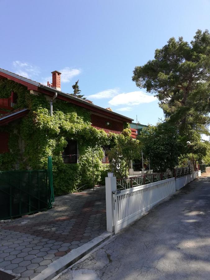 Apartmani Matas Petrcane Exterior foto
